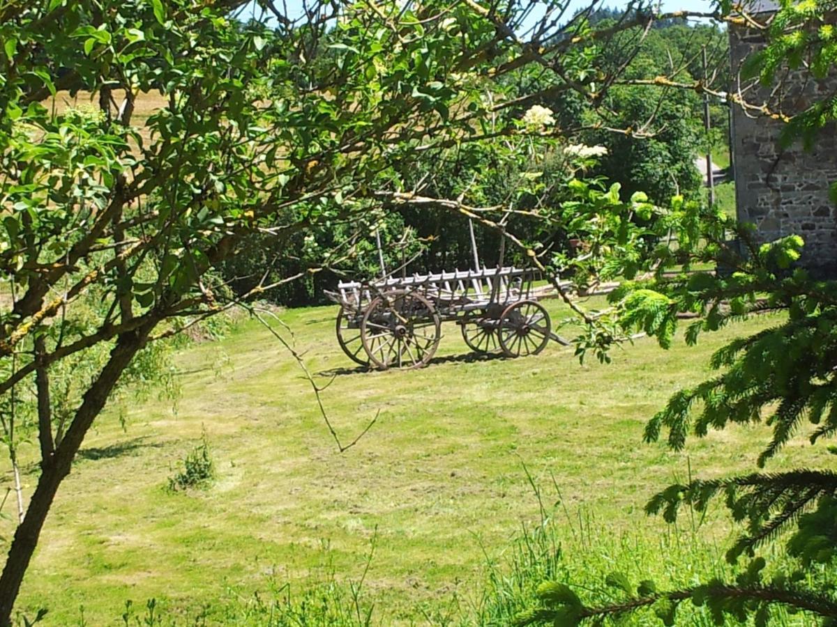 B&B Maison Coralie Sainte-Christine  Esterno foto